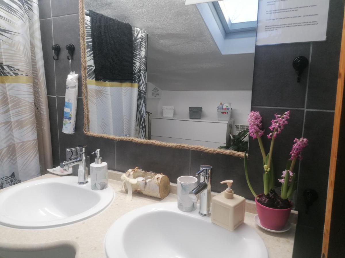 Chambre 23M2 Avec Jardin Wi-Fi Gratuit Saint-Girons Διαμέρισμα Εξωτερικό φωτογραφία