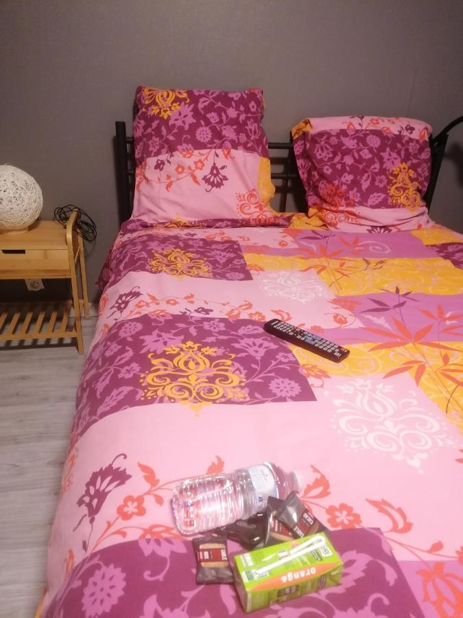 Chambre 23M2 Avec Jardin Wi-Fi Gratuit Saint-Girons Διαμέρισμα Εξωτερικό φωτογραφία